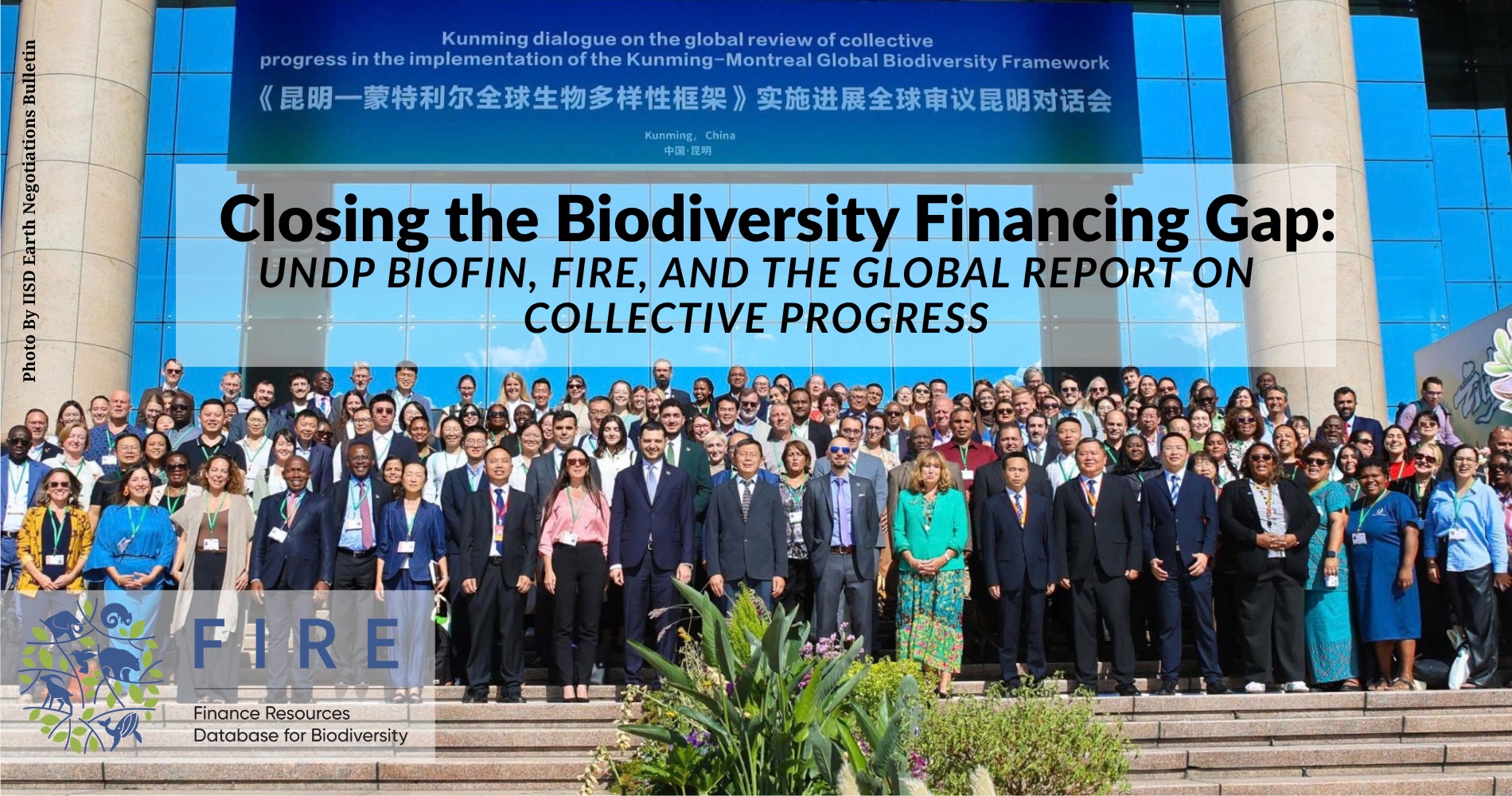 How UNDP BIOFIN supports closing the Biodiversity Finance Gap - Insights from the Report on Collective Progress