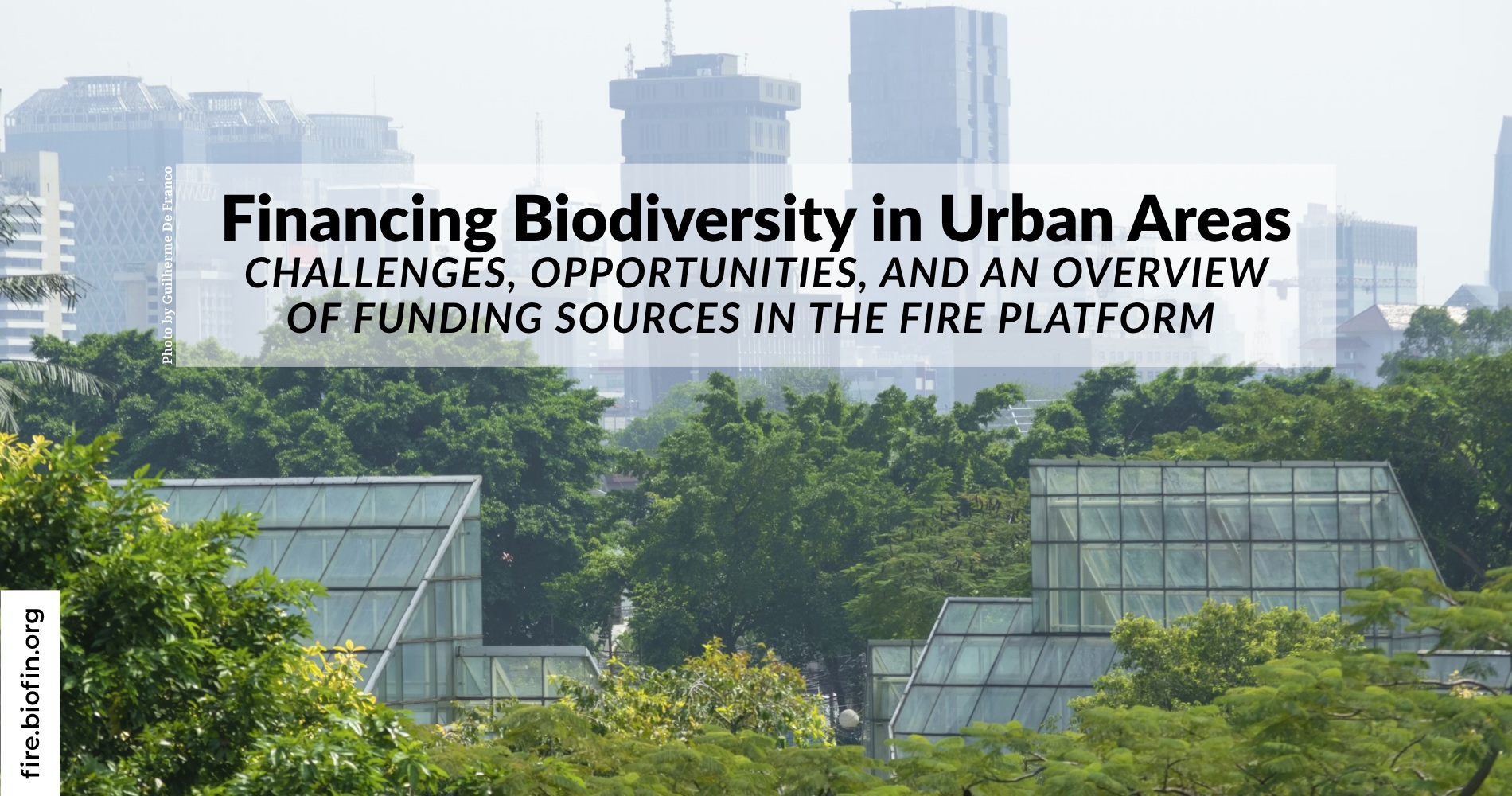 Financing Biodiversity in Urban Areas: challenges, opportunities, and an overview of funding sources in the FIRE platform