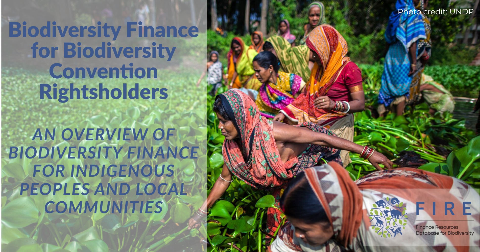 Funding for Indigenous Peoples and local communities: Value, Challenges and Funding Examples